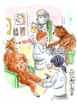 Alpaca Beauty Shop