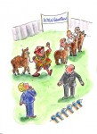 Alpaca Show