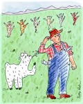 dancingalpacas72